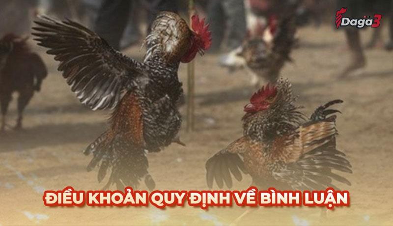 Người dùng cần tuân thủ một số điều khoản khi bình luận trên www.antonsteenbergen.nl
