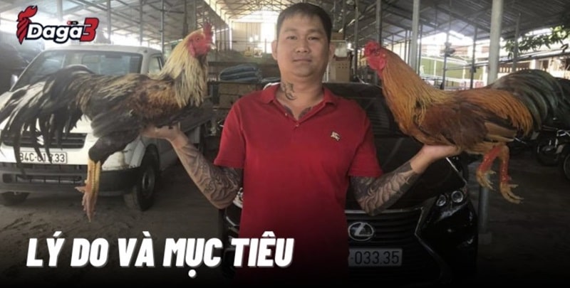 Mít Trà Cú sáng lập trang đá gà trực tiếp www.antonsteenbergen.nl